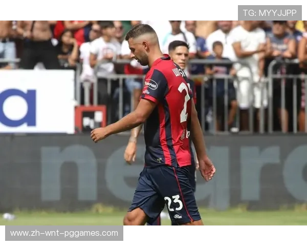 英超波兰球员的崛起及赛场表现总结 英超波兰球员的崛起及赛场表现总结