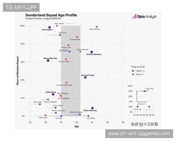 英超联赛中非洲球员数量及影响力统计