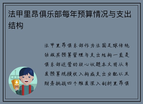法甲里昂俱乐部每年预算情况与支出结构